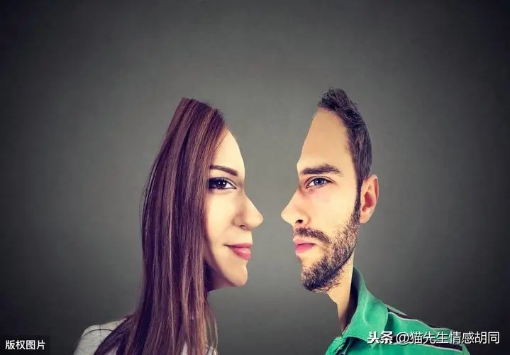 46.webp.jpg